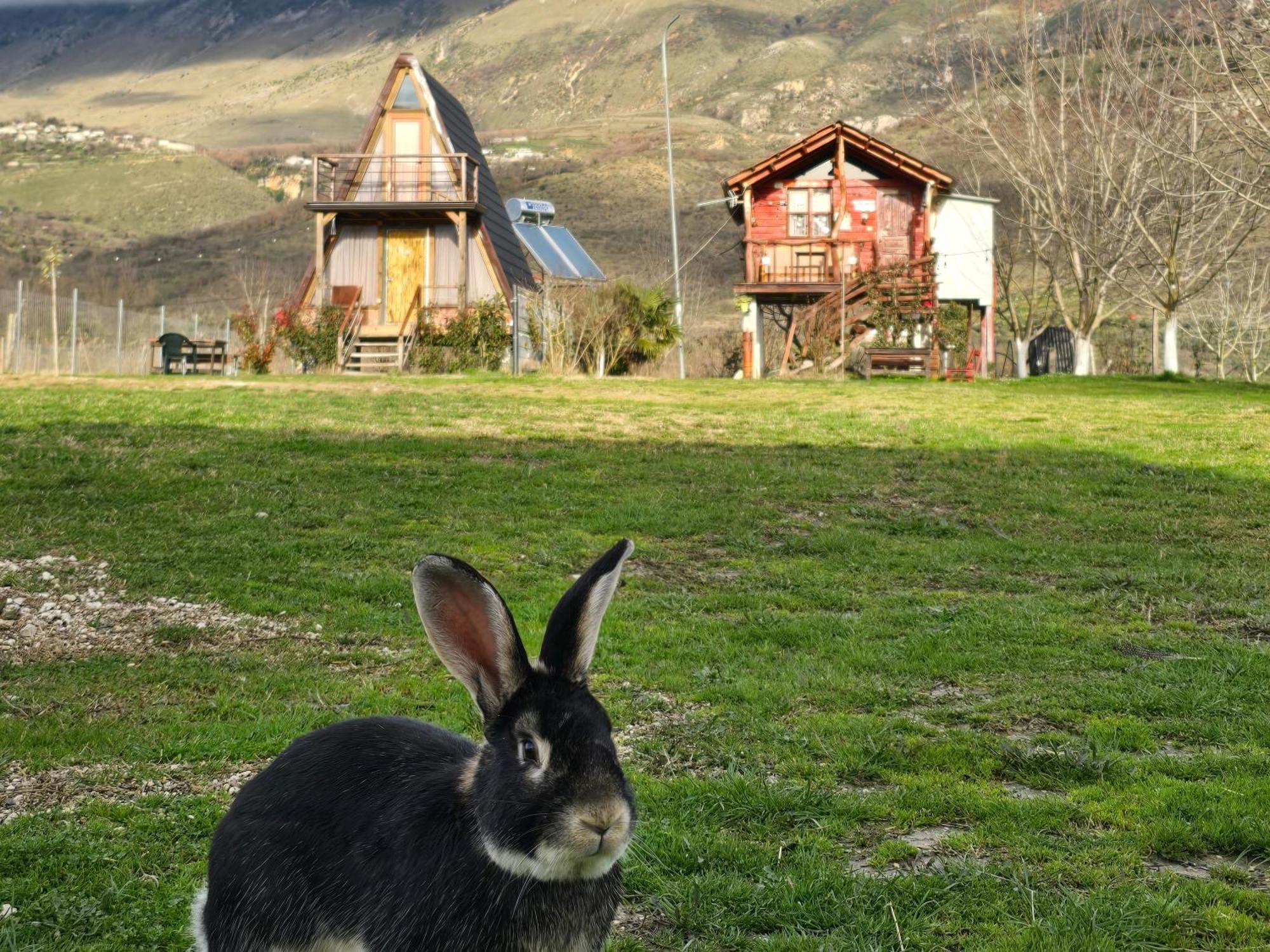 Hotel Life On The Farm Nepravishte Exterior foto